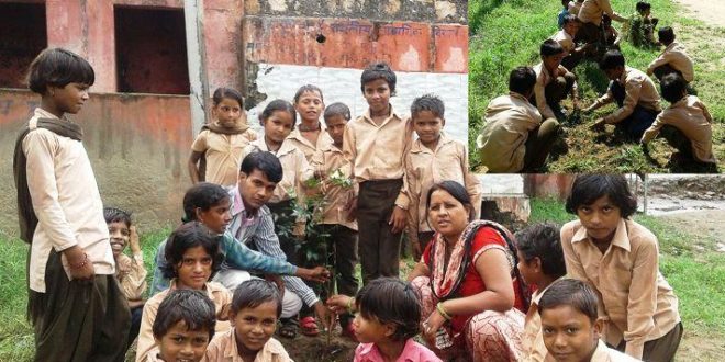 Tree plantation at Government School