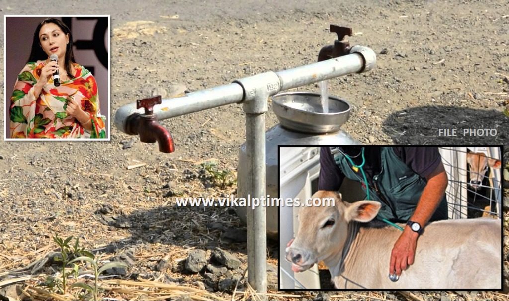 Water Drinking Medical Facilities Cattle Gram Panchayat Approved Veterinary Sub-Center Sawai Madhopur MLA Diya Kumari Government Summer tubewells pipelines