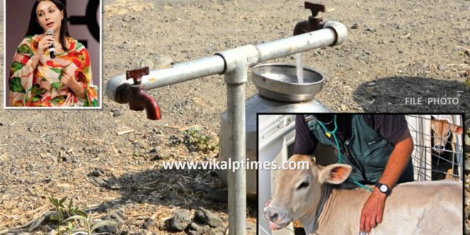Water Drinking Medical Facilities Cattle Gram Panchayat Approved Veterinary Sub-Center Sawai Madhopur MLA Diya Kumari Government Summer tubewells pipelines