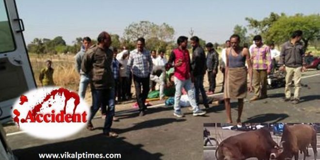 Bike Rider Injured Accident Ox MeghaHighway Kota Lalsot Sawai Madhopur Foot fracture