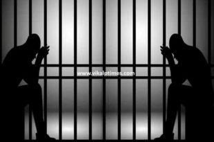 Arrested people for disturbing peace Drinking liuior driving vehicle Gangapur city Sawai Madhopur