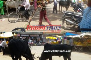 vegetable seller spread dirt market