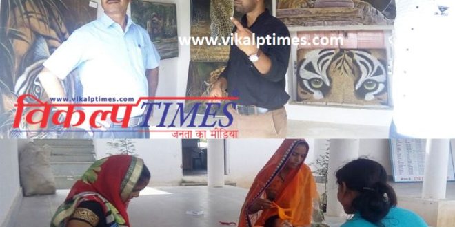 District collector inspected Shilpagram