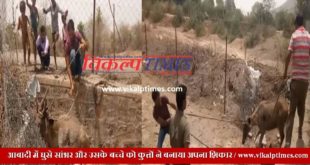 Sambhar and his children entered population area Khandar Dogs hunting