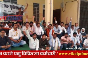 Veterinary staff protest demonstrated demand