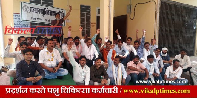 Veterinary staff protest demonstrated demand