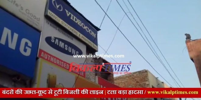 a big accident broken power line bouncing monkeys Bonli