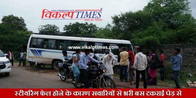 Bus Collided tree Accident Passengers Ranthambore
