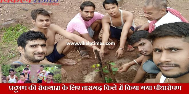 Planting Trees Taragarh Fort Prevention Pollution