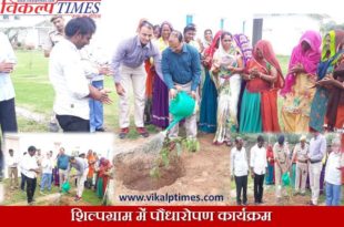 Plantation Program Shilpgram Collector