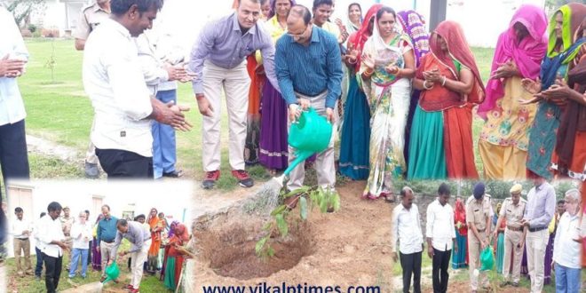 Plantation Program Shilpgram Collector