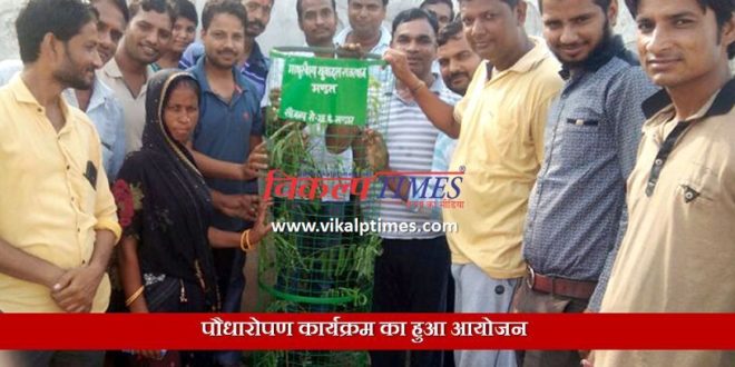 Plantation program go green environment