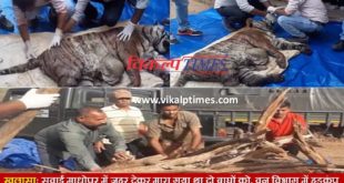 killed two tigers poisoning Revealed Sawai Madhopur Ranthambore Forest