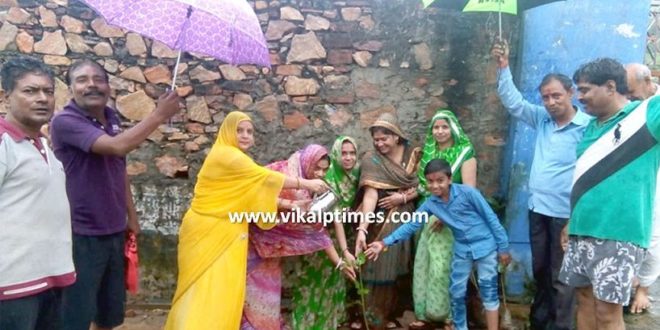 Tree Plantation Ramleela Ground Go green Environment