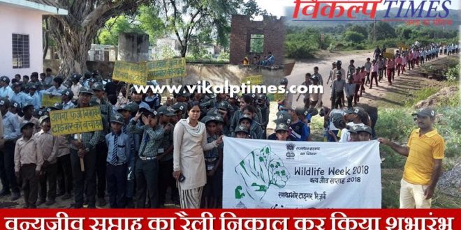 Inaugration Wildlife Week Rally