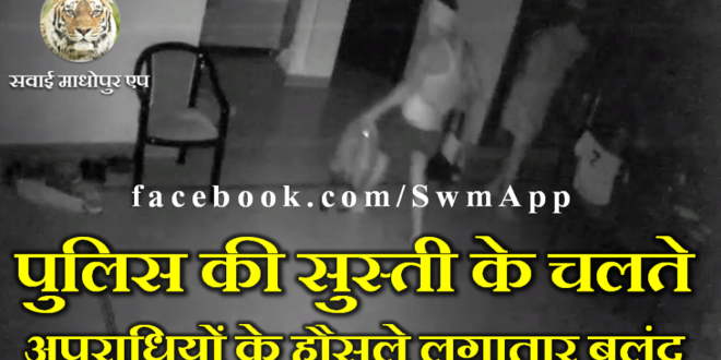 Thief Night SawaiMadhopur Police Slowness Incident Capture CCTV Camera