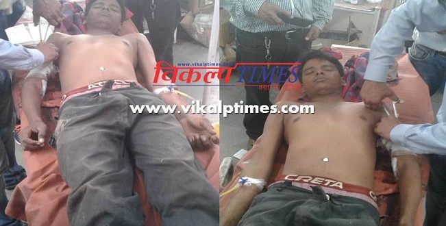 Tiger attack Youth Seriously injured refer Jaipur Ranthambore national park