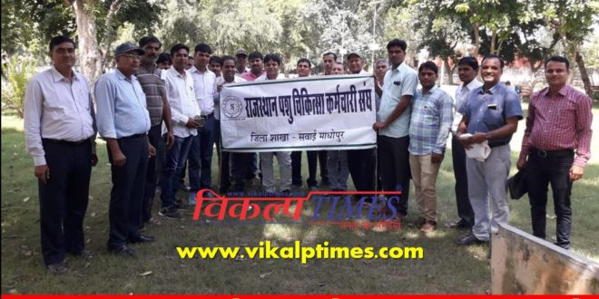 Veterinary staff peace marches