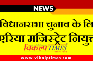 Area Magistrate appointed Rajasthan assembly elections