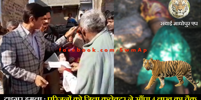 Tiger Attack woman compansation District Collector Goverment Rajasthan