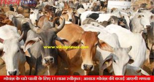 13 lakhs rupees release fodder cattle feed cow