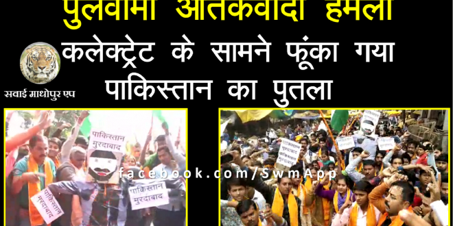 Pulwama Terror attack burn effigy Pakistani collectorate