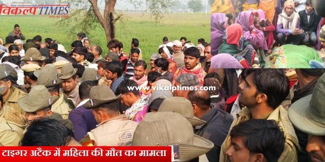 Tiger Attack Woman Case Death Ranthambore