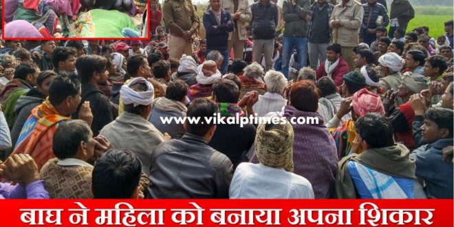 Tiger attack women death ranthambore national park