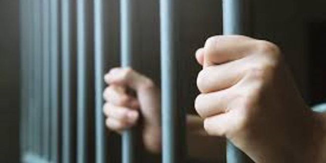 Police arrested 21 accused across district sawai madhopur