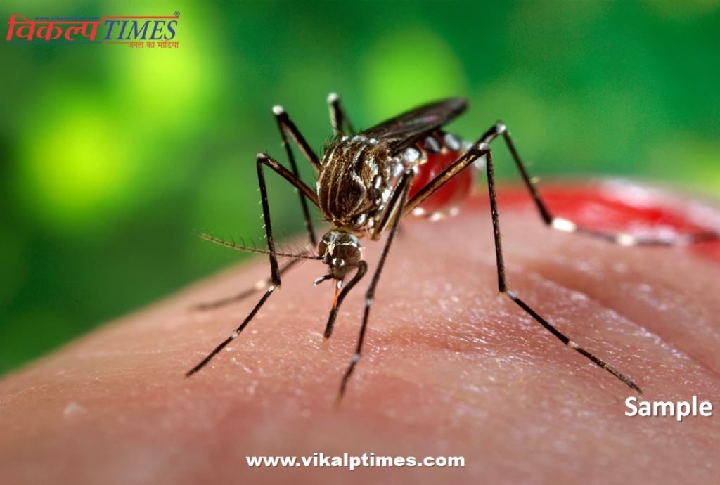 Prepare now disease dengue malaria spread