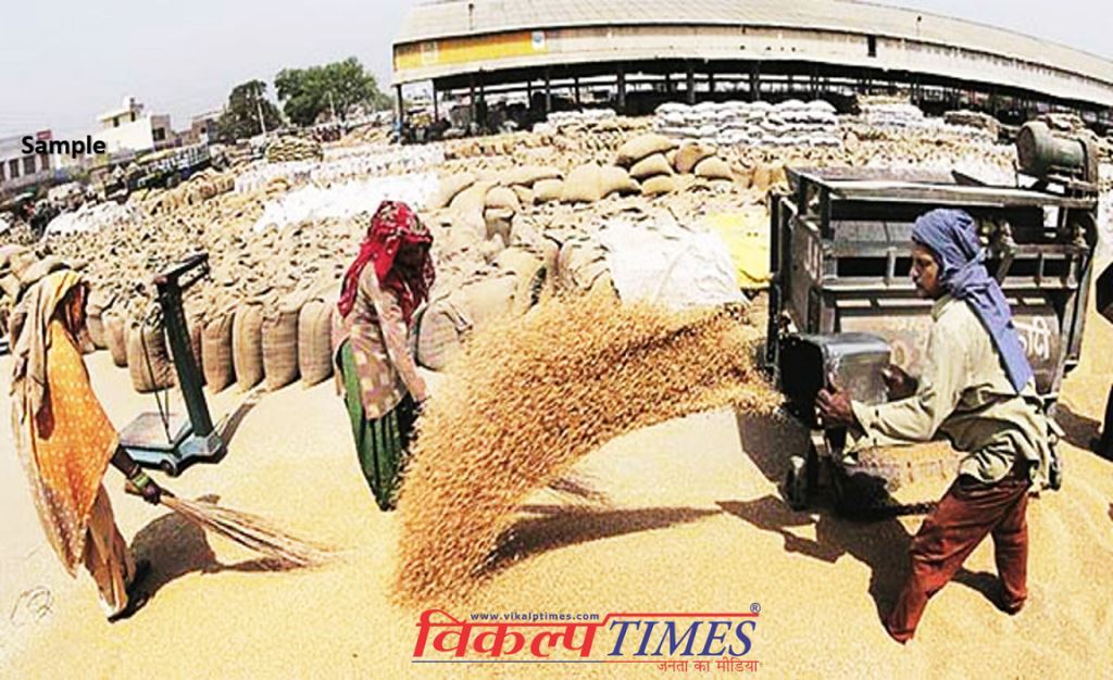sarso chana gehun purchase by government on MSP Gram mustard wheat