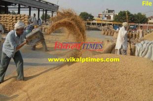 Grains Mandi Palladar's strike continues