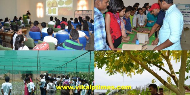 Closing ceremony summer program