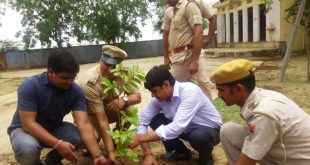 Collector launches plantation campaign