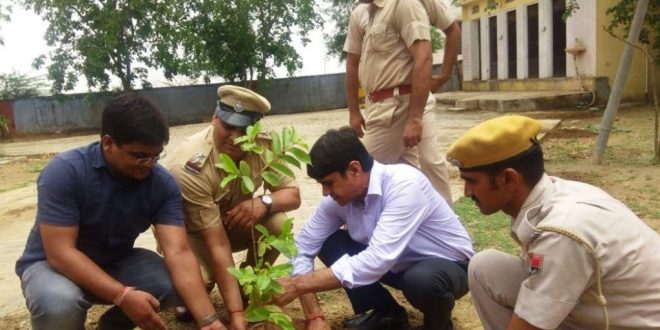 Collector launches plantation campaign