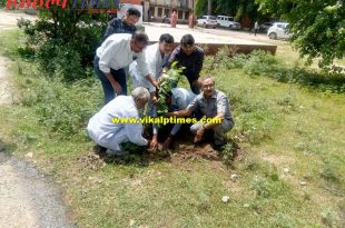 Enthusiasm plantation college