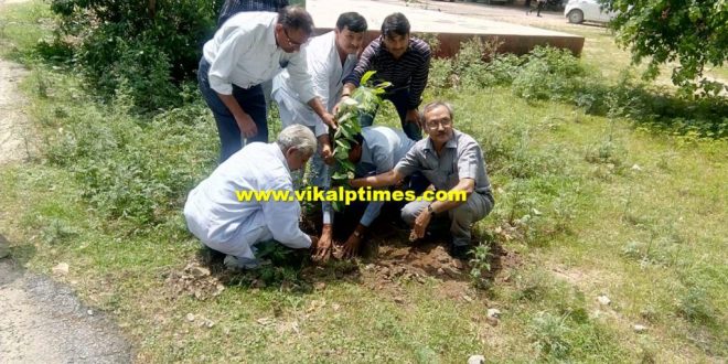 Enthusiasm plantation college