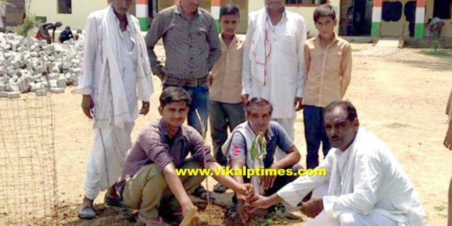 Plantation done State High Primary School