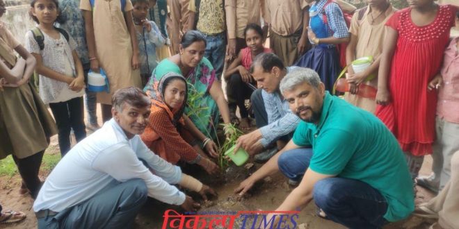 Plantation done school ground