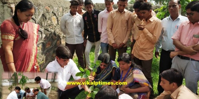 Planting sahunagar School ITI college Sawai Madhopur