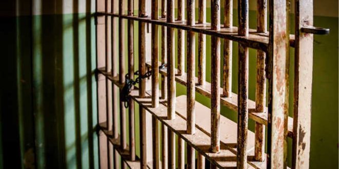 police arrested 20 accused district sawai madhopur