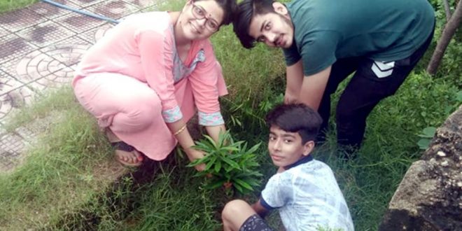 Toshniwal planted tree public park