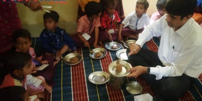 Collector fed nutrition food school children