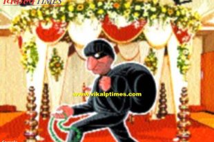 Bag worth Rs 10 lakh stolen from wedding ceremony in ranthambore