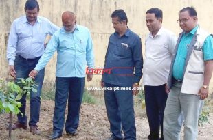 CDEO inspected Harsota school bonli sawai madhopur