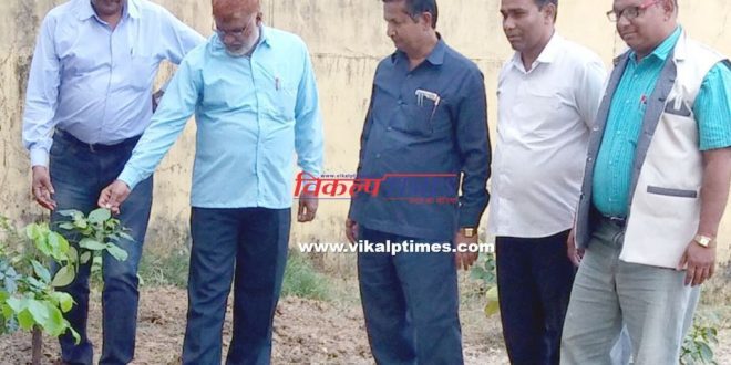 CDEO inspected Harsota school bonli sawai madhopur