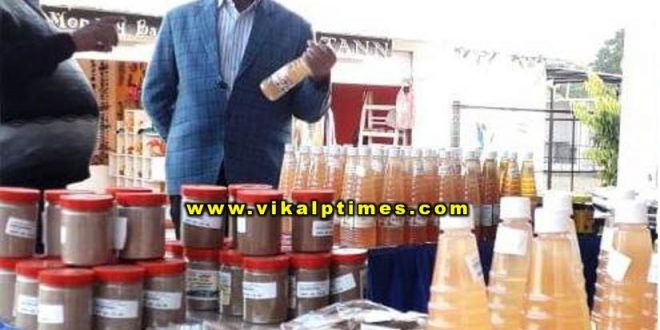 Collector inspected craft fair sawai madhopur