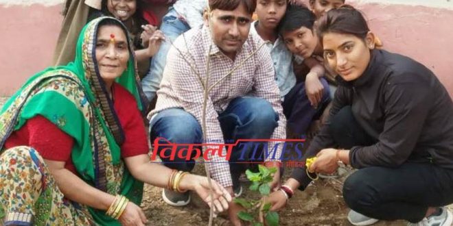Government service started planting trees school