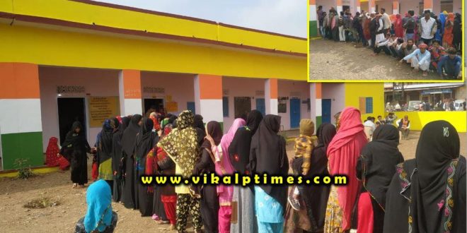 Panchayat Election 2020 - First phase voting finished Sawai Madhopur