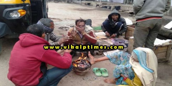 Rain increases winter fog school student sarpanch election Sawai Madhopur